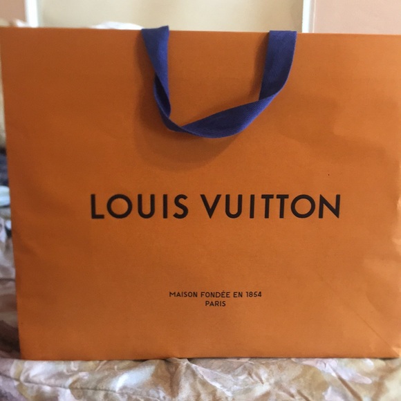 Louis Vuitton Other - Louis Vuitton bag